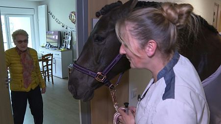 The mare Dounka making her visits at the retirement home in France