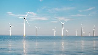 Ветряные установки дают более четверти производимой в Швеции энергии