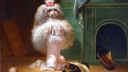 'Dog of the Hanava Breed', 1768 by Jean-Jacques Bachelier
