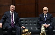 Cumhurbaşkanı Erdoğan, Devlet Bahçeli