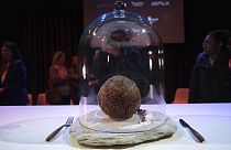 A meatball made using genetic code from a mammoth is seen at the Nemo science museum in Amsterdam.