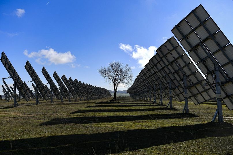 A tree is surrounded by solar panels in Los Arcos, Navarra Province, northern Spain.