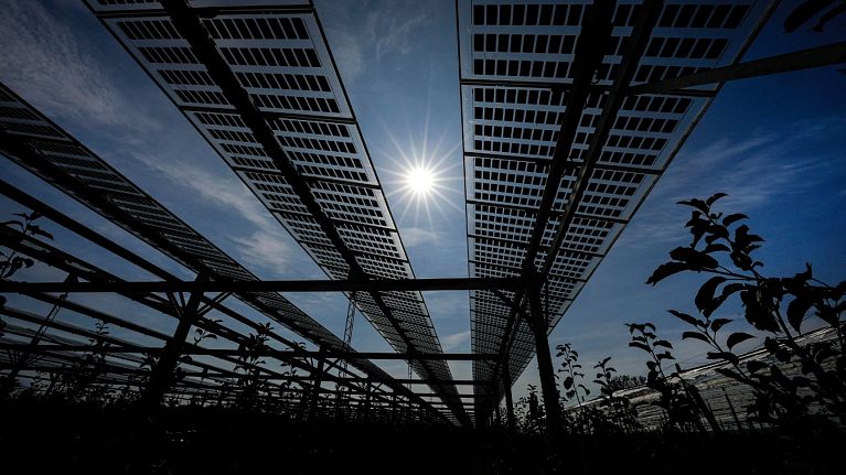 Solar panels at an Agrivoltaics research project in Gelsdorf, western Germany.