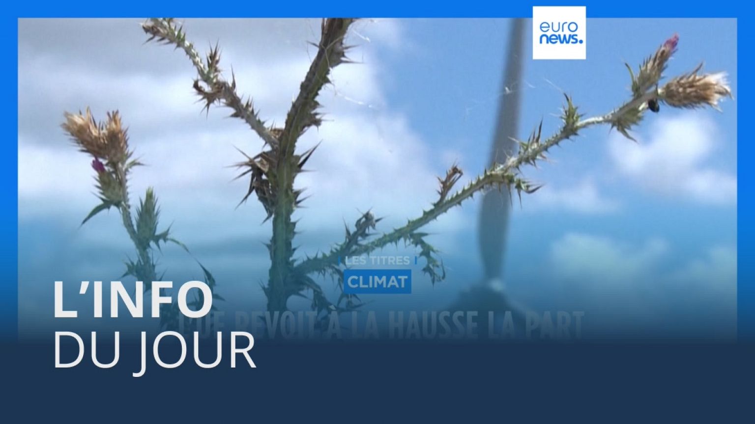 L’info du jour | 30 mars - Soir
