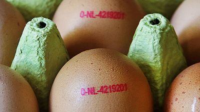 Куриные яйца - один из дорожающих в Европе продуктов питания