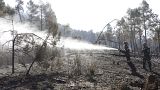 Пожарные тушат лес в автономном сообществе Валенсия 29 марта 2023