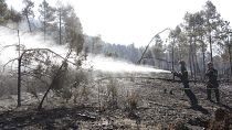 Пожарные тушат лес в автономном сообществе Валенсия 29 марта 2023