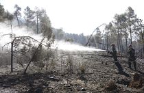Пожарные тушат лес в автономном сообществе Валенсия 29 марта 2023