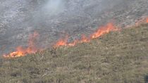 Wald- und Buschbrände in der autonomen Gemeinschaft Asturien, im Norden Spaniens