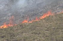 Wald- und Buschbrände in der autonomen Gemeinschaft Asturien, im Norden Spaniens