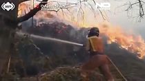 Firefighter battling the flames of a forest fire in Northern Spain.
