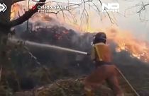 Firefighter battling the flames of a forest fire in Northern Spain.