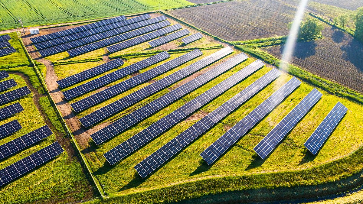 Solar enegry farm in Field, US. 