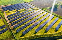 Solar enegry farm in Field, US.