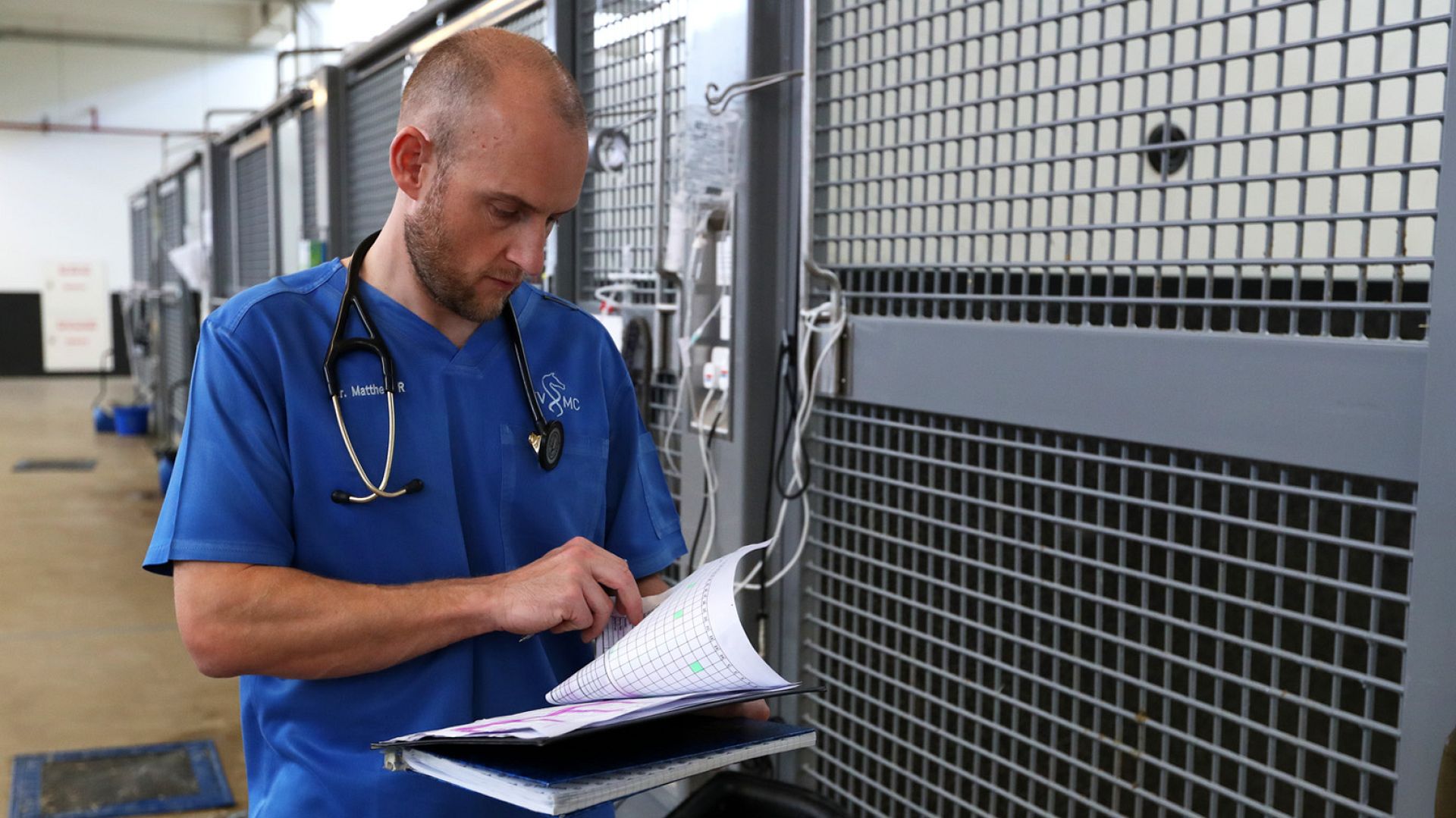 Meet the veterinary interns treating sick and injured horses in Qatar