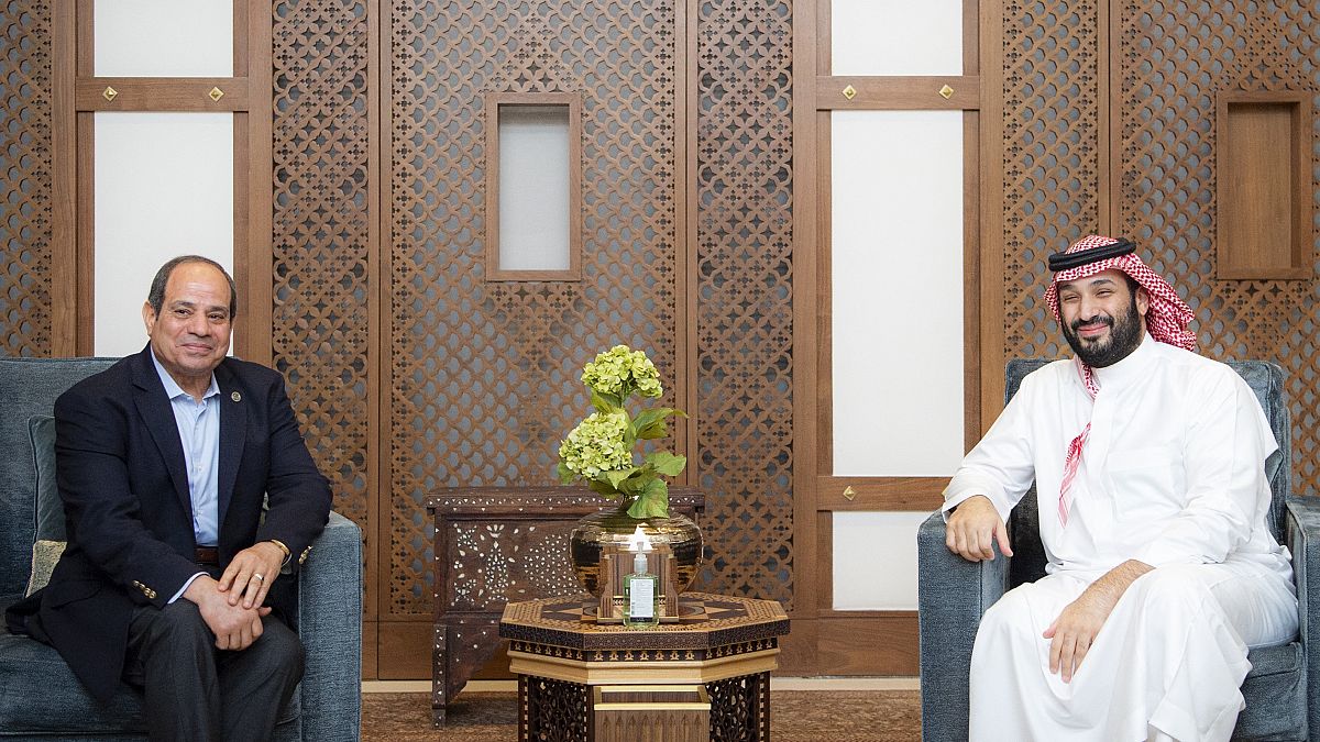 لقاء السيسي وبن سلمان في الرياض