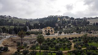 Az Olajfák hegye Jeruzsálemben