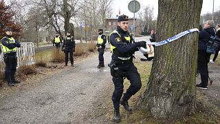 قوات الأمن السويدية