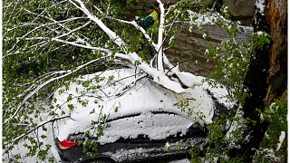 عمال يزيلون أغصان الأشجار المتساقطة من سيارة متوقفة متضررة في بلغراد ، صربيا ، الثلاثاء 4 أبريل/نيسان 2023.