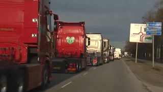 Trucker in Dänemarkt haben gegen neue Umweltauflagen protestiert