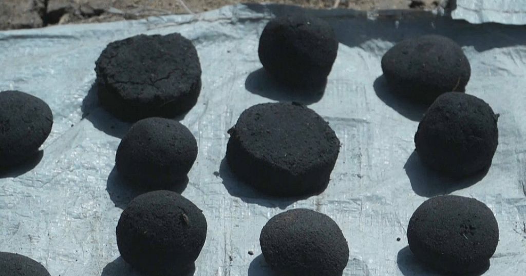 South Sudan: Women harnessing the power of plants for sustainable energy - Vimarsana News