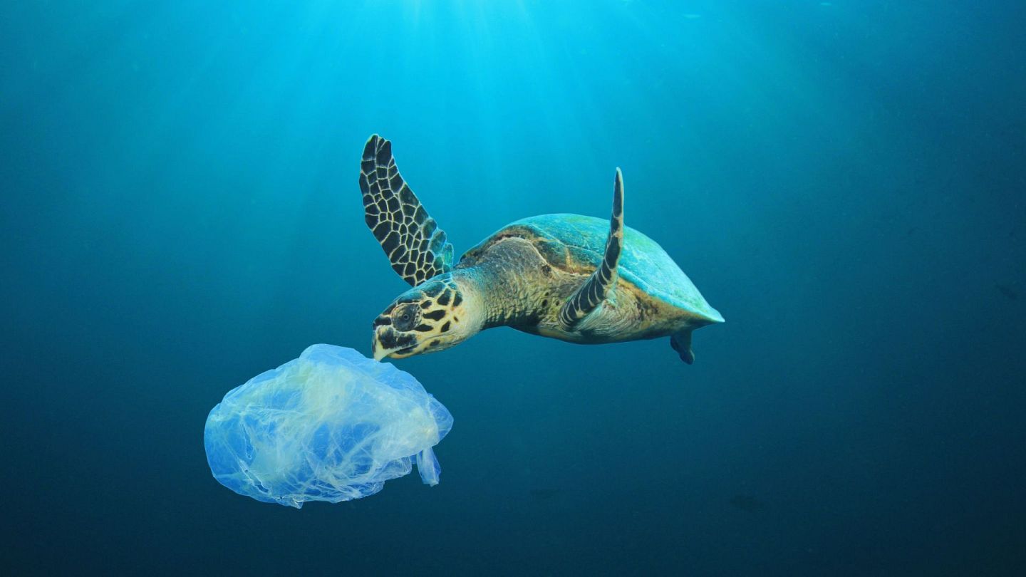 Qué países prohiben el uso de bolsas de plástico?