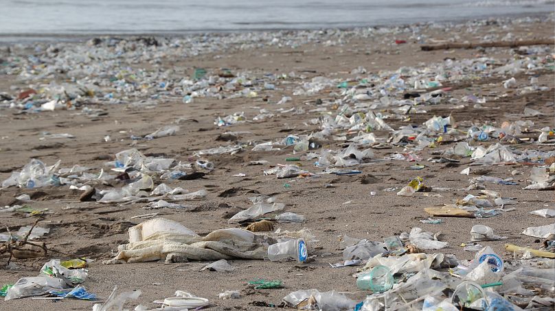 La plastica è uno dei maggiori inquinanti presenti sulle spiagge