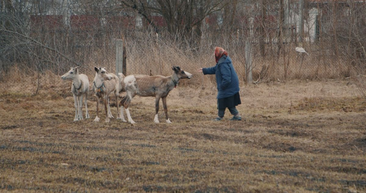 'Searching for Nika': Why Ukrainian filmmaker Stanislav Kapralov risked ...