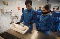Comment aligner qualification et évolution des métiers de la mer : un exemple réussi en Norvège