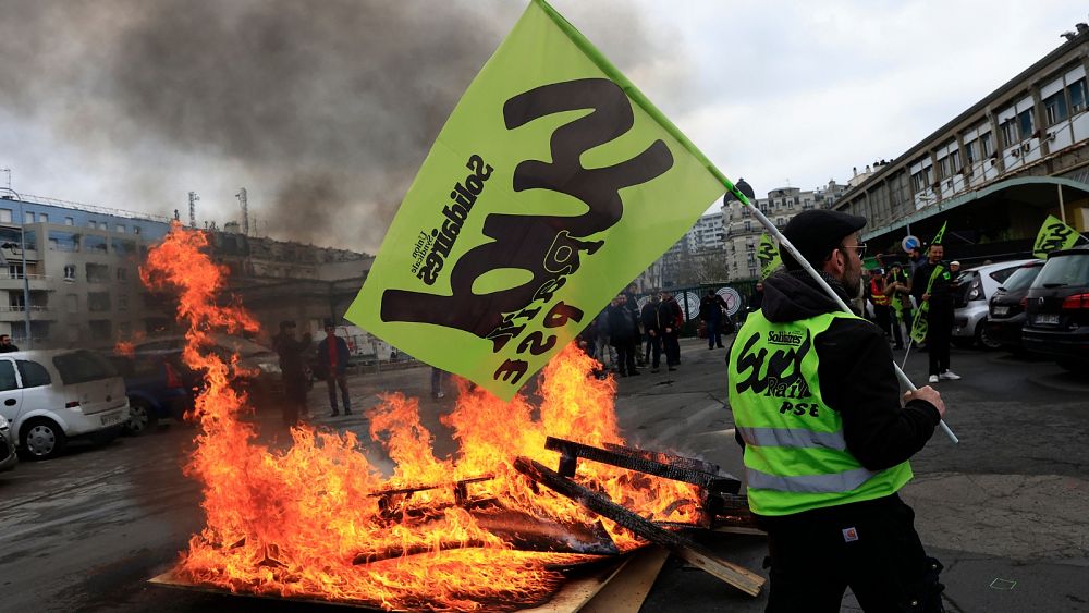 Paris rat catchers throw rodents at City Hall as France strikes again