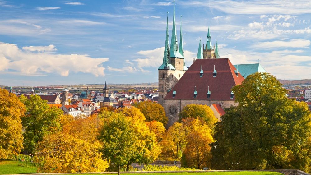 Pourquoi les forêts européennes brunissent-elles et quelles en sont les conséquences ?