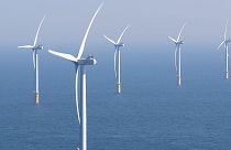 هل تشكل موجات الجفاف تهديدًا على صناعة طاقة الرياح المزدهرة في بحر الشمال؟