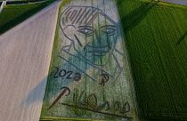 Aerial view of giant Picasso portrait carved into Italian field