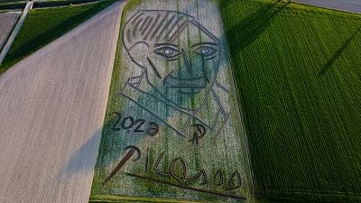 Aerial view of giant Picasso portrait carved into Italian field
