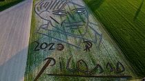 Pablo Picasso'nun arazi portresi