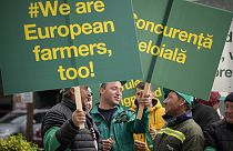 Men talk as they hold banners during a farmers' protest in front of the Representative Office of the European Commission in Bucharest, Romania, Friday, April 7, 2023.