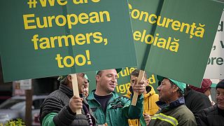 Διαμαρτυρία Ρουμάνων αγροτών για τα αδασμολόγητα ουκρανικά σιτηρά 