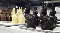 Партия пасхальных кроликов, в которых были обнаружены наркотики.