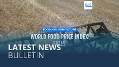 Latest news bulletin | April 7th – Evening
