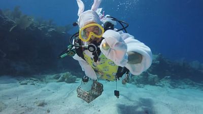 Diver recovers Easter Egg
