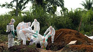 Equatorial Guinea: 11 deaths from Marburg virus -new report 