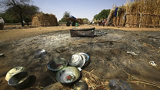 Darfur: 24 dead in tribal clashes 