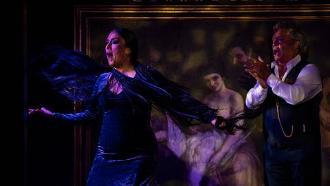 Flamenco dancer Belen Lopez performs at the "Corral de la Moreria" "tablao," or live flamenco venue, during International Flamenco day in Madrid, Spain.