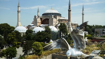 Чайка пролетает перед Собором Святой Софии в Стамбуле, Турция. 25 июня 2022.