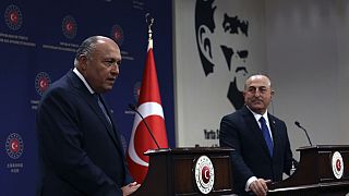 L'Egypte appelle la Turquie à retirer ses troupes de Syrie