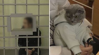 Bizarre drug bust in Russia involves kitten disguised as baby