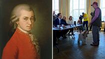Who Let the Dogs Out? The Danish Entertainment Orchestra will be their Mozart performance at this year's Haydn Festival
