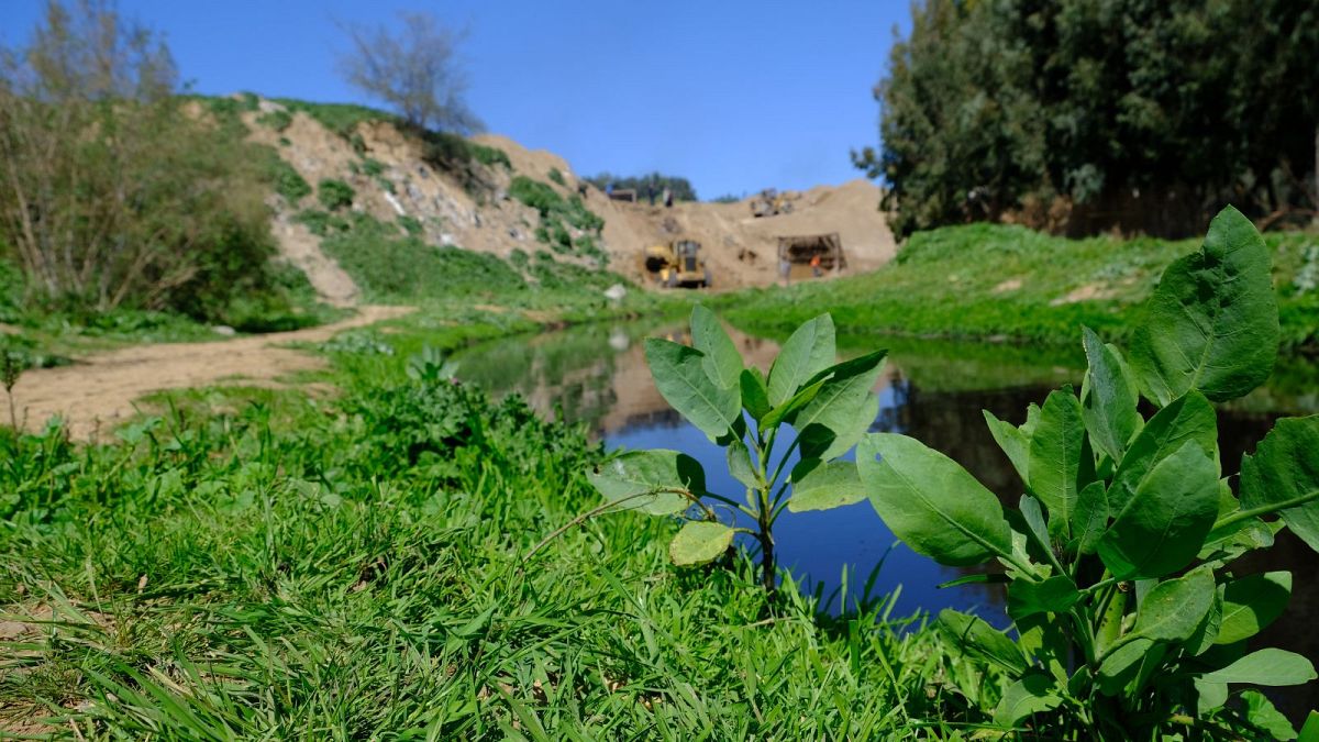 From wasteland to protected wetland: Here's how the Gaza Valley is bouncing back.