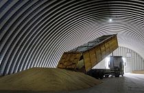 A dump track unloads grain in a granary in the village of Zghurivka, Ukraine, Aug. 9, 2022.