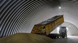 Archives - Des céréales sont déchargées dans un grenier du village de Zghurivka, en Ukraine, le 9 août 2022.